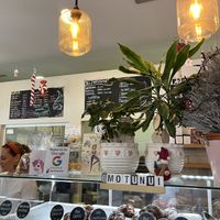 Inside #Veganuary at Motu Nui in Tenerife