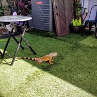  at Gratefuel Cafe in Fort Lauderdale