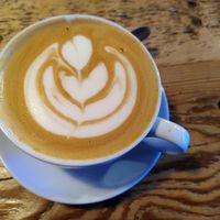 Oat milk latte (November 2022) at Bluebird Bakery in York