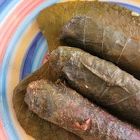 warm 🤢 grape leaves, disgusting! at Marhaba in Minca