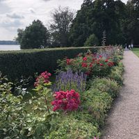   at Bosjökloster Slott & Trädgårdar in Hoeoer