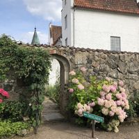   at Bosjökloster Slott & Trädgårdar in Hoeoer