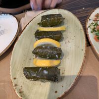 Grapevine leafs at FEZ in Vejer De La Frontera