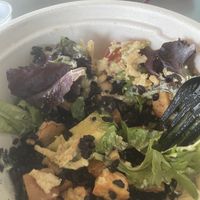   at Gorda Bowls in Punta Gorda