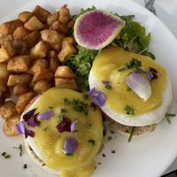 Vegan Eggs Benedict   at Evviva - Yonge St in Toronto