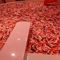 Yum factor 10. at Museum of Ice Cream in Austin