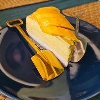  at Beyond The Root in Khao Lak