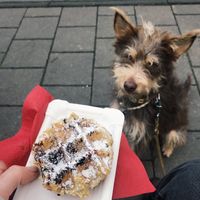 Vegane Waffel für 2,80€   at Kölner Waffelrad in Cologne
