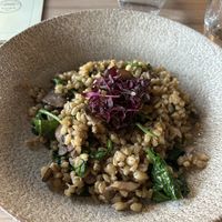 Mushroom Risotto with truffle oil  at The Dickens Inn in East London