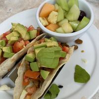   at Key Largo Conch House in Key Largo