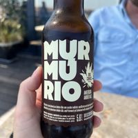 Amber ale  at Lumi Rooftop Restaurant & Bar in Lisbon