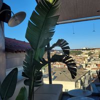 View at Lumi Rooftop Restaurant & Bar in Lisbon