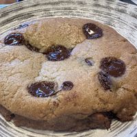 Chocolate chip cookie   at Planta in Bethesda