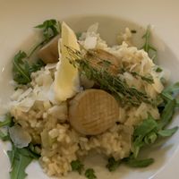 Lemon risotto   at Tisch in Vienna