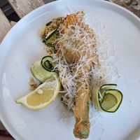 Zucchini flower at Tisch in Vienna