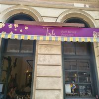  at Tisch in Vienna