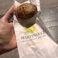   at Martinucci Laboratory in Rome