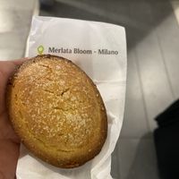 Pasticciotto alla crema  at Martinucci Laboratory in Rome