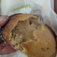  at Martinucci Laboratory in Rome