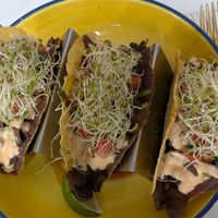 Vegan Black Bean Tacos at Earthy Picks in Orlando