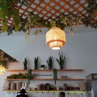 Earthy Picks - beautiful lamps inside at Earthy Picks in Orlando