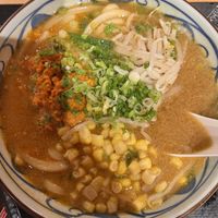 Vegan miso  at Marugame Udon in San Francisco