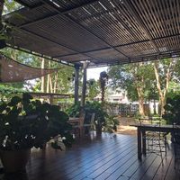 The outside garden at Munchies Café in Chiang Mai