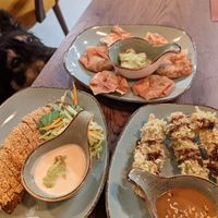 "Ente" im Sesammantel (links), marinierter Tofu im Teigmantel mit Erdnusssauce (mein Favorit - rechts), Teigtaschen (hinten), gieriger Hund (unten) at House of Vegan 182 in Berlin