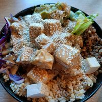 Miso Mushroom Bowl: integral rice, green lentils, smoked tofu, curry pâté, lettuce, red cabbage, guacamole, marinated mushrooms, sauce Sesame Miso Ginger, sesame seeds at Food Garden in Zagreb
