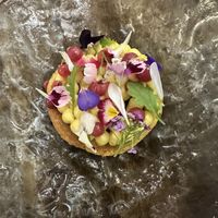   at Terroir in Lisbon