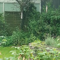  at Fox Hall in Kendal