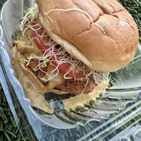 Delicious chicken sandwich  at Kraves Vegan Foods in New York City