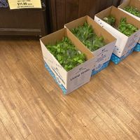 Fresh herbs at Solomon's Fresh Market - Harbour Bay in Nassau