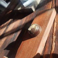 Praline Ingwer at Werkstatt Kaffee in Ergolding