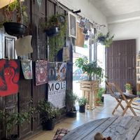   at ART Libreria in San Cristobal De Las Casas