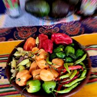 WE OPEN ON DECEMBER 24 FROM 2 TO 10 PM MENU 300 ALL INCLUSIVE AND ALL YOU CAN EAT...
MEXICAN STREET FOOD ALL DECEMBER at ART Libreria in San Cristobal De Las Casas