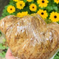 Lemon cruffin!! Fantastic. at Soma in Bloomington