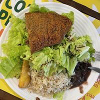   at Tropicalia Vegan House in Montevideo