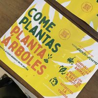   at Tropicalia Vegan House in Montevideo