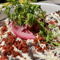 enfrijoladas  at Changos Veganos in Mexico City