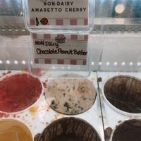 the two vegan ice creams today at Kelly's Homemade Ice Cream in Orlando