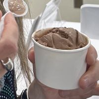 Chocolate peanut butter non-dairy ice cream.  at Kelly's Homemade Ice Cream in Orlando
