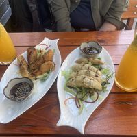 Spring rolls and fried dumplings  at Veganam in Kiel