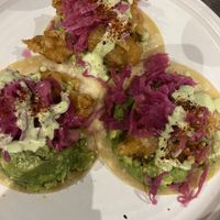 oyster tacos  at Besina in Providence