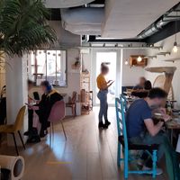 Interior at Café Casa Del Gato in Zurich