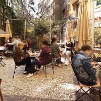 Backyard at Café Casa Del Gato in Zurich