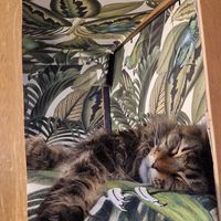  at Café Casa Del Gato in Zurich