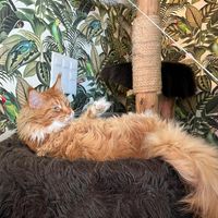  at Café Casa Del Gato in Zurich