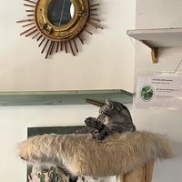  at Café Casa Del Gato in Zurich