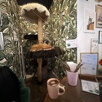 caotina hot chocolate ☕️   at Café Casa Del Gato in Zurich